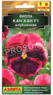 Виола Кан Кан F1 клубничная