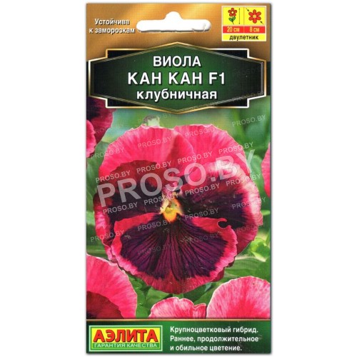 Виола Кан Кан F1 клубничная