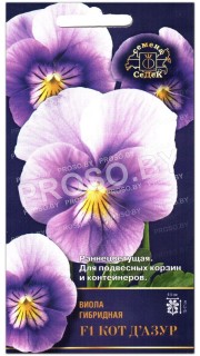 Виола Кот Дазур F1