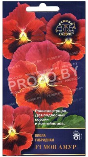 Виола Мон Амур F1