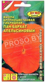 Виола Пан-бархат Апельсиновый F1