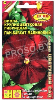 Виола Пан-бархат Малиновый F1