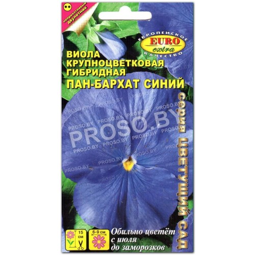 Виола Пан-бархат Синий