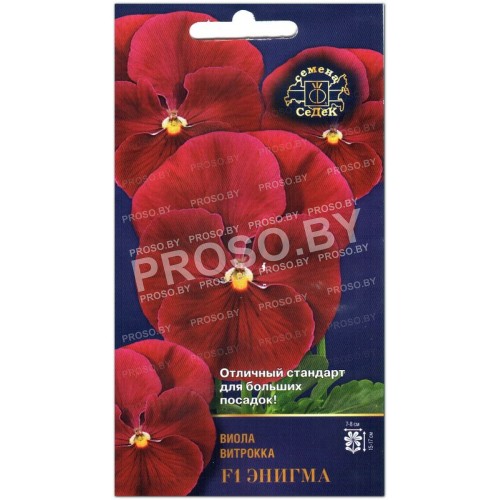 Виола витрокка Энигма F1