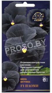 Виола витрокка Наоми F1