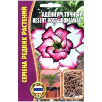 Адениум тучный Desert rose doksawai