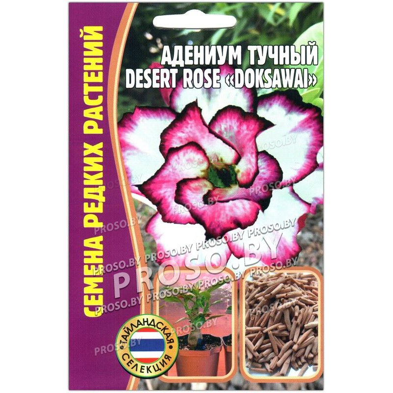 Грузно 3. Адениум Doksawai Desert Rose 3шт редкие растения. Адениум тучный Doksawai. Адениум тучный Desert Rose Doksawai. Адениум тучный Doksawai 3шт (ред.сем).