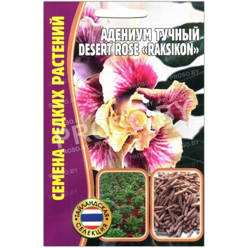 Адениум тучный Desert rose raksikon