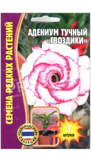 Адениум тучный Гвоздики