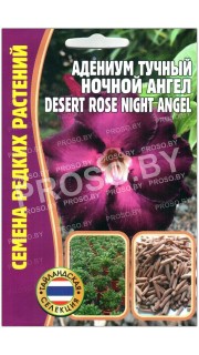 Адениум тучный Ночной ангел (desert rose night angel)