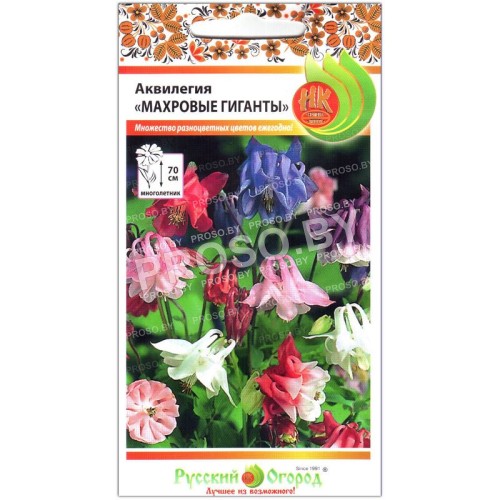 Аквилегия Махровые гиганты