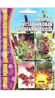 Аморфа кустарниковая Amorfa fruticosa