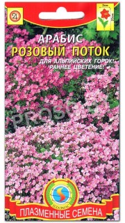Арабис Розовый поток