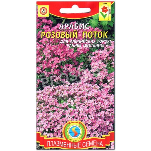 Арабис Розовый поток