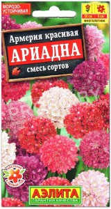 Армерия красивая Ариадна, смесь