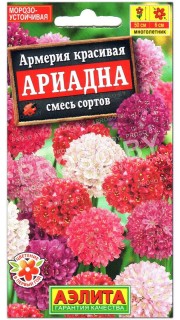 Армерия красивая Ариадна, смесь