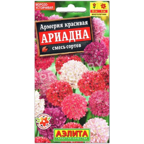 Армерия красивая Ариадна, смесь
