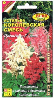 Астильба Королевская смесь