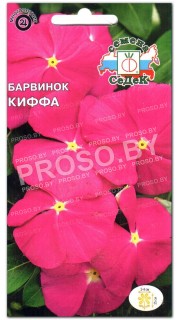 Барвинок Киффа