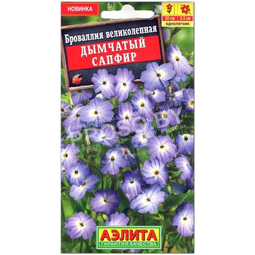 Броваллия великолепная Дымчатый сапфир