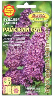 Буддлея Давида Райский сад