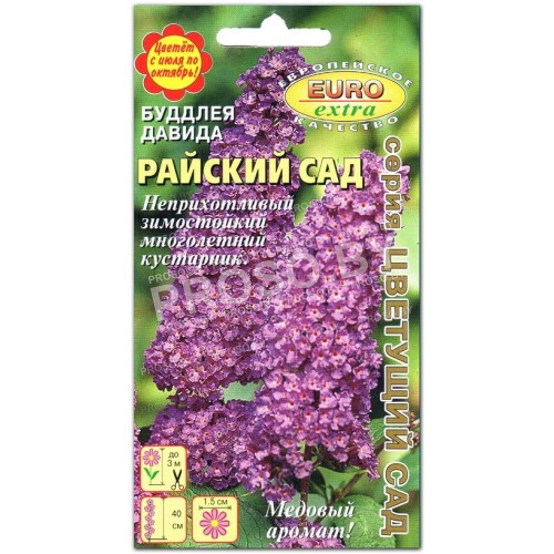 Буддлея давида Райский сад