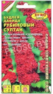 Буддлея Давида Рубиновый султан