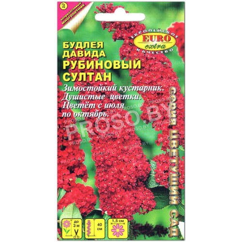 Буддлея Давида Рубиновый султан