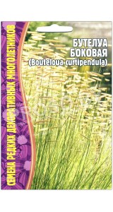 Бутелуа Боковая