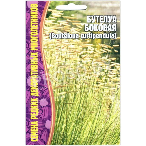 Бутелуа Боковая