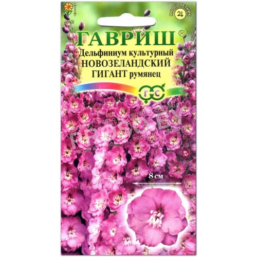 Дельфиниум культурный Новозеландский гигант румянец
