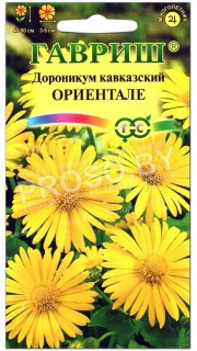 Дороникум кавказский Ориентале