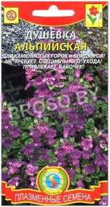 Душевка Альпийская