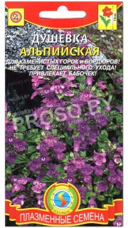 Душевка Альпийская