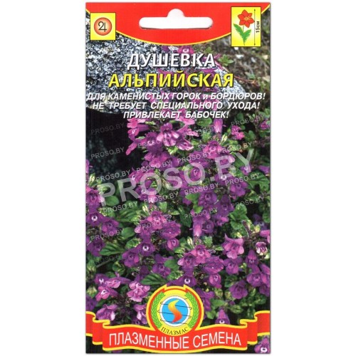 Душевка Альпийская