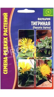 Фаукария Тигриная