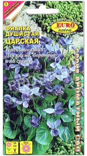 Фиалка душистая Царская