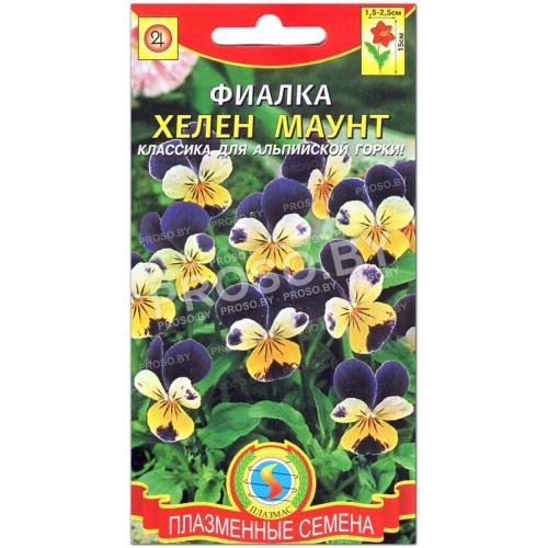 Фиалка Хелен маунт