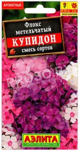 Флокс метельчатый Купидон, смесь