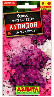Флокс метельчатый Купидон, смесь