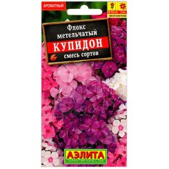 Флокс метельчатый Купидон, смесь