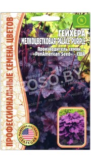 Гейхера мелкоцветковая Palace purple
