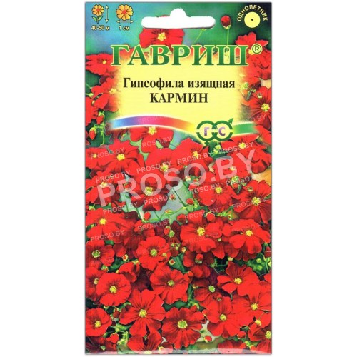 Гипсофила изящная Кармин