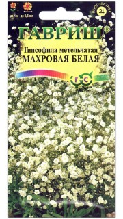 Гипсофила метельчатая Махровая белая