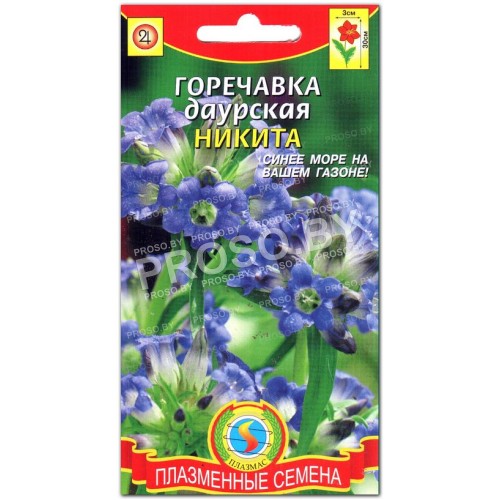 Горечавка Никита-1
