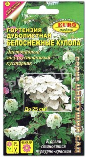 Гортензия Белоснежные купола