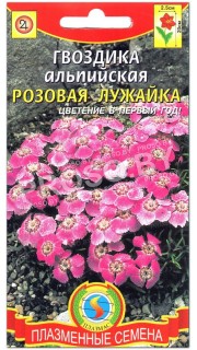 Гвоздика альпийская Розовая лужайка