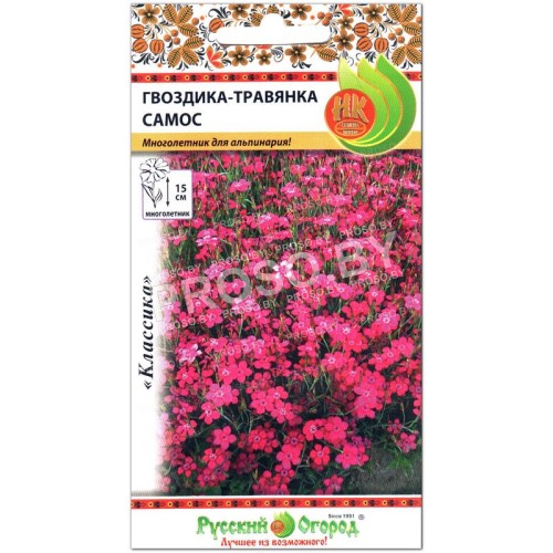 Гвоздика травянка Самос