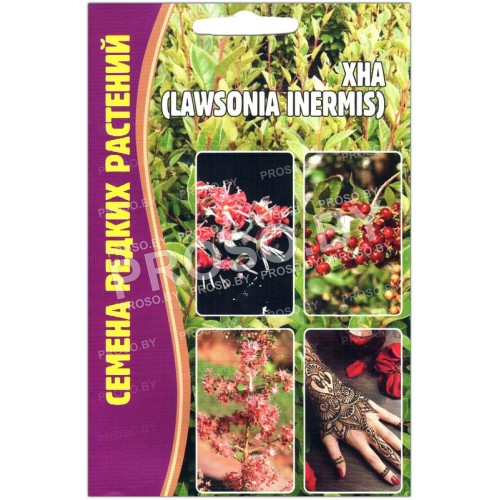 Хна (лавсония inermis)