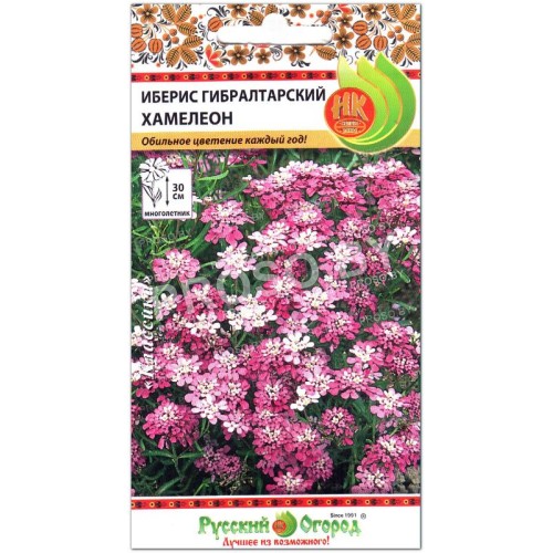 Иберис гибралтарский Хамелеон